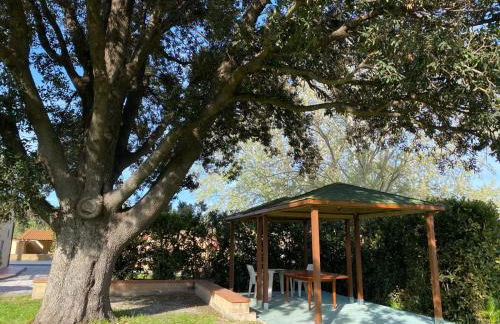 Podere Il Ritorno - Foto 47