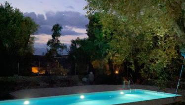 The "M" House - Photo 3