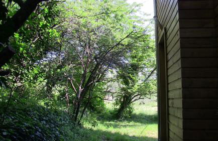 gite sud ardeche - Foto 3