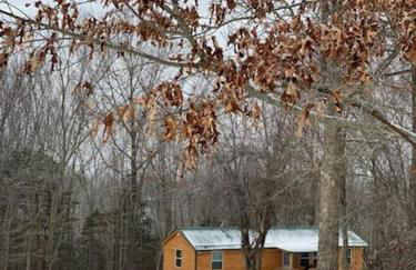 Cabin with a tree house on a buffalo farm . - Foto 34