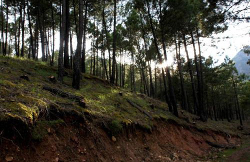 Casa Mercedes - Foto 6