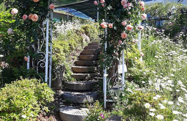 Emotion Pension - Foto 34