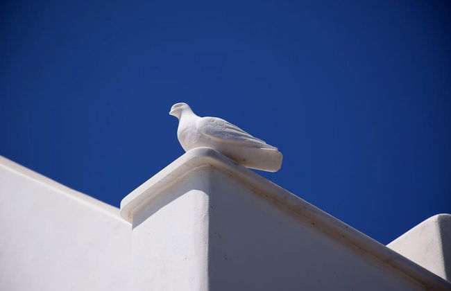 Amberi Tinos in Panormos - Foto 13
