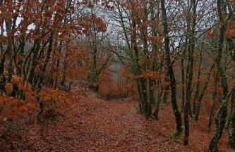 Kleitor Stone Villa-Peloponnese Getaway - Foto 71