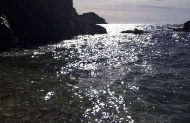 Bormes les Mimosas, Hameau de Cabasson, à 400m de la mer et du fort de Bregançon, Villa classée 3 étoiles, de 2 à 8 personnes - Foto 50