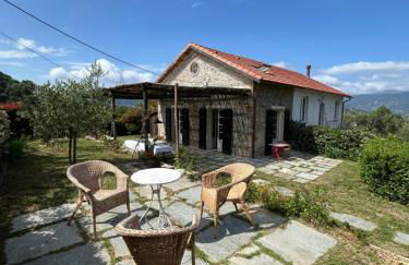 Casa Collina by PortofinoVacanze - Foto 54