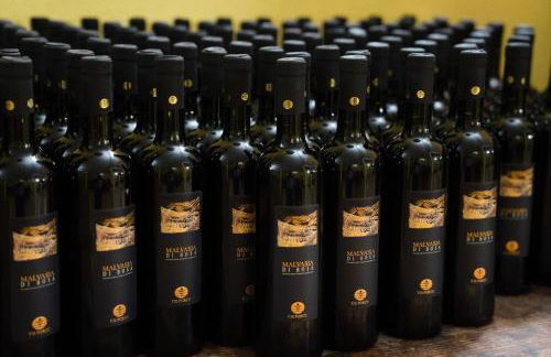 Le Case nel Vitigno - Modolo - Foto 21