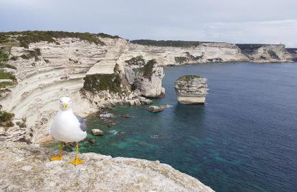 Villa Acqua Doria - Photo 56