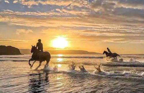 Manor Lodge Stables - Foto 34