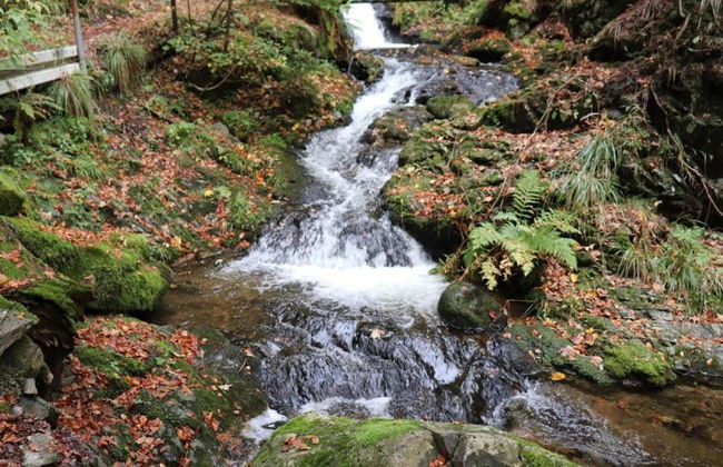 Ferienwohnung in Todtmoos - Photo 34