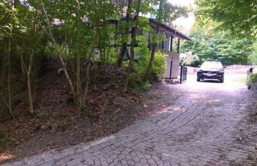 Waldhaus Staufenbergblick in Zorge - Foto 4