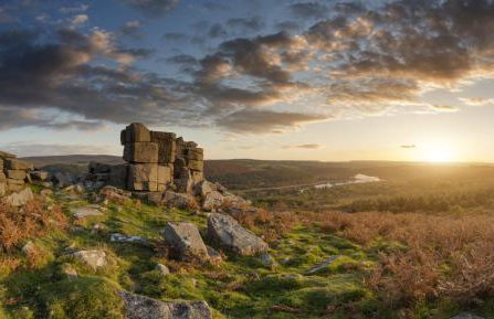 Chic and Bright Apartment Near the Water - Photo 39