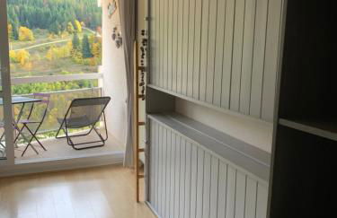 Avec balcon, au pied des pistes et randos - Foto 10