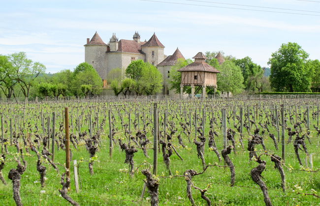 Le Mas de Serre - Foto 24