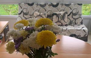 Casa Frutales Escaselas - Foto 7