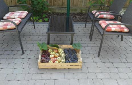 Zielone Zacisze - Foto 46