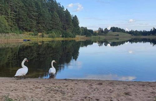 GOSPODARSTWO TURYSTYCZNE w OSINKACH - Foto 28