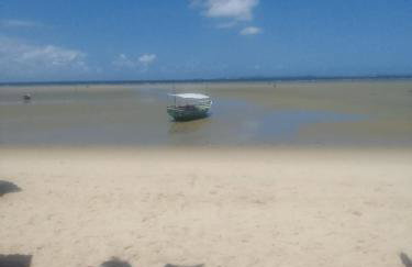 Abelha & Peixe Boi - Photo 13