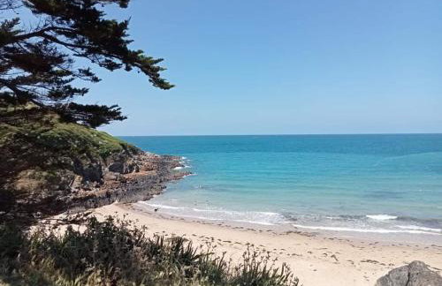 Le clos du Verdelet vue mer piscine - Foto 29