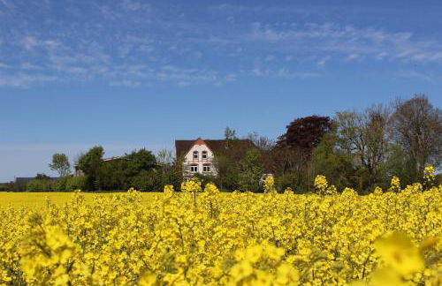 Hof Osterholz - Foto 40