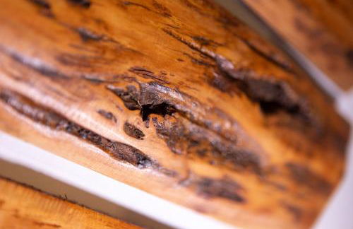 Camping Camplani - Foto 26