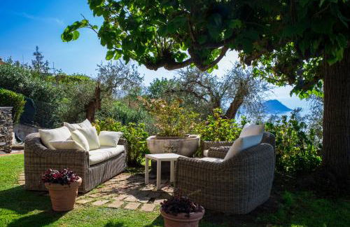 Olivenere agriturismo - Foto 7