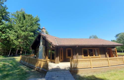 The Dorset Resort - Photo 18