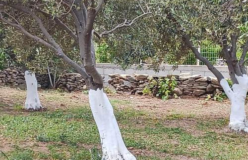 Ακροδεα - Photo 7