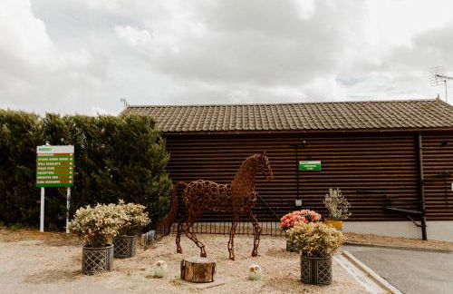 FAIRVIEW FARM Holiday Accommodation 14 Luxury Lodges, Cabins, Dog Friendly, Suitable for Couples, Families and Groups, Wedding Guests , Corporate events, Sleeps 2-65 guests in Ravenshead, Nottingham near Sherwood Forest, set in 88 acres - Photo 73