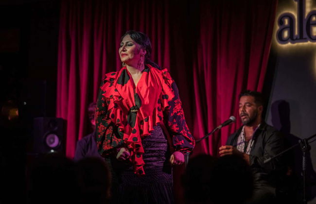 Espetáculo de flamenco no Alegría - Foto 22