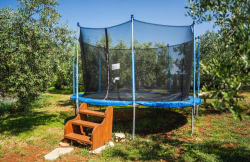 Leonardo House - Foto 13