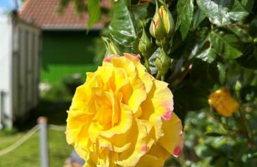 Appartement fliegender Hirsch - Foto 27