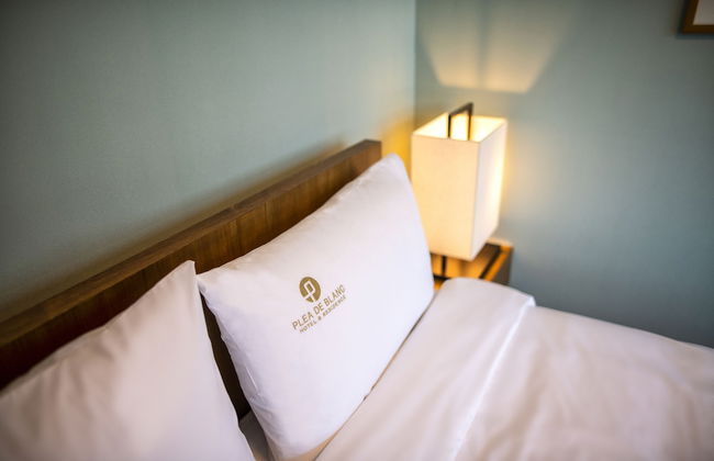 Plea De Blanc - Foto 10