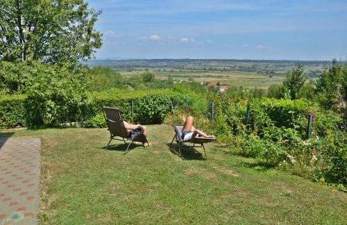 Green Zelina - Foto 11