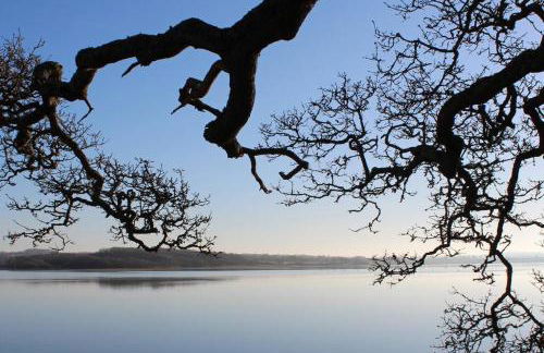Green Shutters PembrokeshireBeachHouse - Foto 66