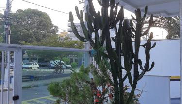 Apartamento Top Praça da Bandeira - Praia do Forte - Foto 5