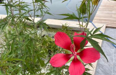 Agriturismo Corte Cea - Foto 15