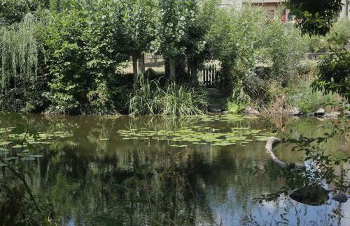 La Demoiselle de Bohardy - Photo 28