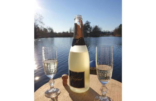 Holiday home in Güster with swimming pool - Foto 19