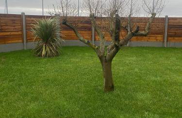 GITE BEAUSEJOUR à Fontenay sur Mer, 50m de la plage et face au golf - Foto 11