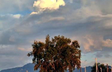 Strandhaus Chiemsee - Foto 68