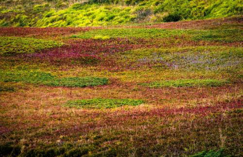 Villa Fedora - Foto 53