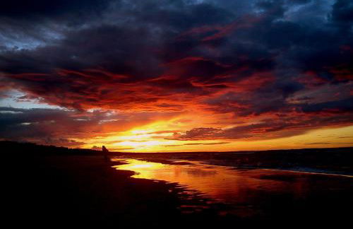 Ferienwohnung zur Düne - Foto 18