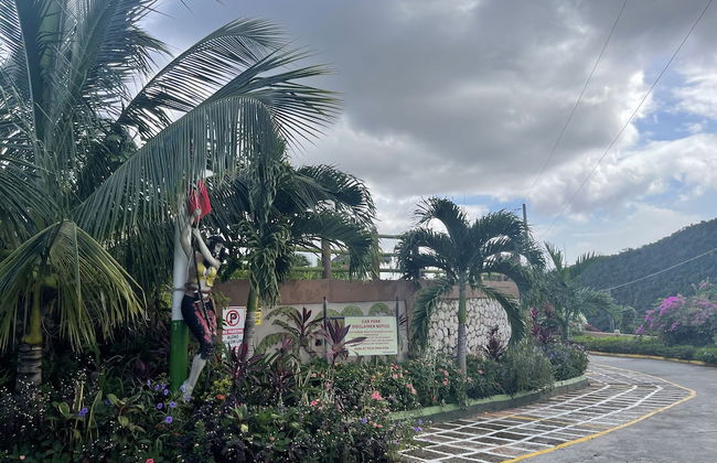 Pirate Palms - Foto 33