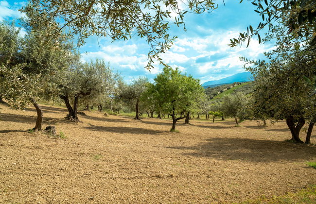 Villa Elster - Foto 36