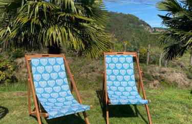 il tulipano - Photo 40