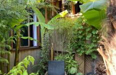 Jungle Cabin - Foto 23