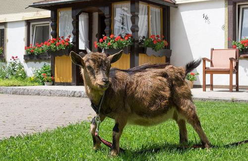 Ferienwohnung Meierhof, 38qm - Foto 11
