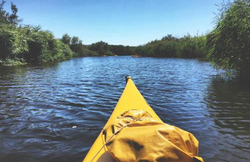 Le Pavoncelle - Foto 23