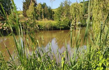 Alte Goldschmiede Südpfalz - Foto 50